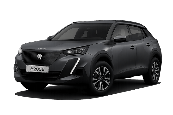 Peugeot E 2008 (2020) F 480